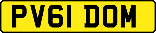 PV61DOM