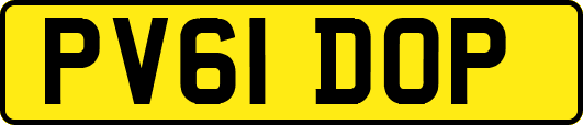 PV61DOP