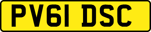 PV61DSC