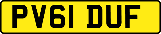 PV61DUF