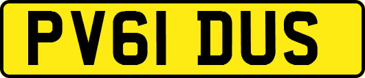 PV61DUS