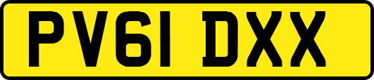 PV61DXX