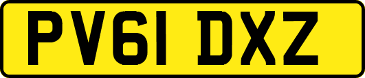 PV61DXZ