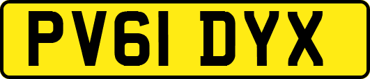 PV61DYX