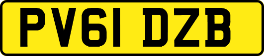 PV61DZB