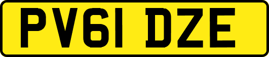PV61DZE