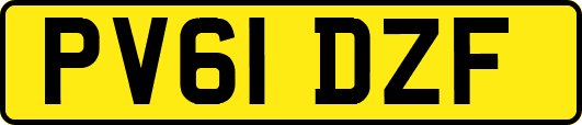 PV61DZF