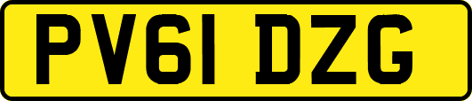 PV61DZG