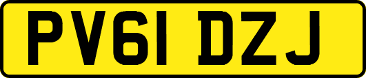 PV61DZJ
