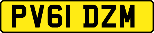 PV61DZM