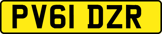 PV61DZR