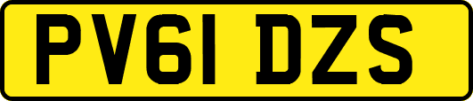 PV61DZS