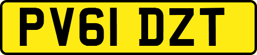PV61DZT