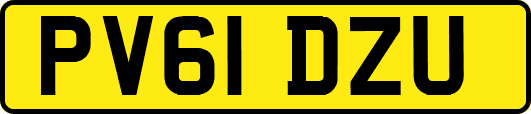 PV61DZU