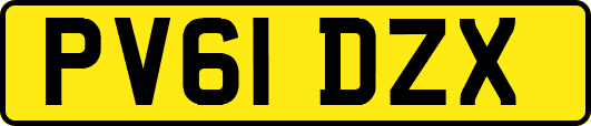 PV61DZX