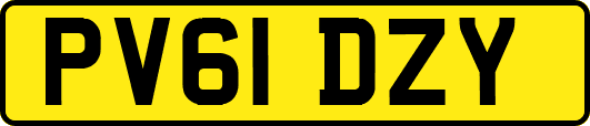 PV61DZY