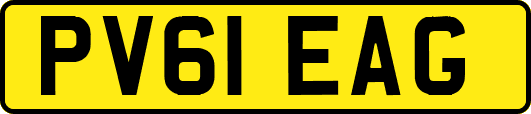 PV61EAG