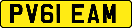 PV61EAM