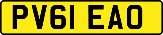PV61EAO