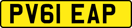 PV61EAP