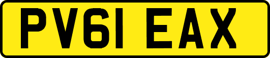 PV61EAX
