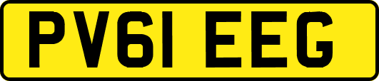 PV61EEG