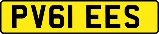 PV61EES