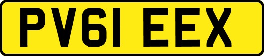 PV61EEX