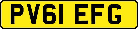 PV61EFG