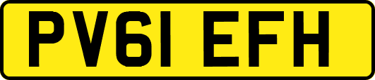 PV61EFH