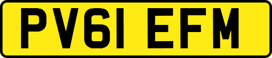PV61EFM