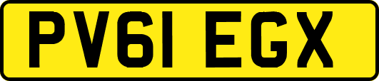 PV61EGX