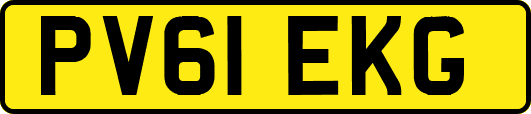PV61EKG