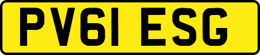 PV61ESG