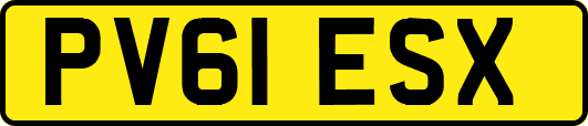 PV61ESX