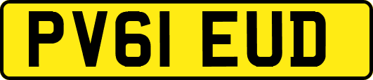 PV61EUD