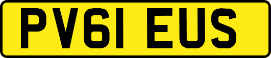 PV61EUS