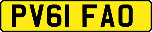 PV61FAO