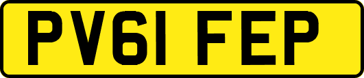 PV61FEP