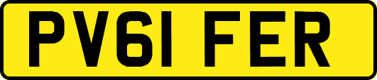 PV61FER