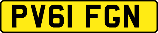 PV61FGN