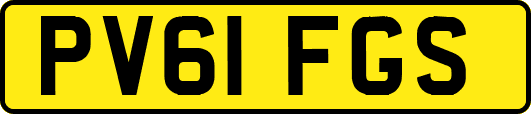 PV61FGS