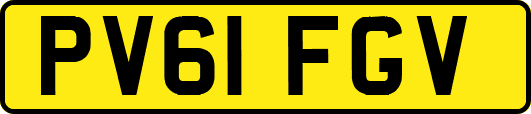 PV61FGV