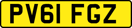 PV61FGZ