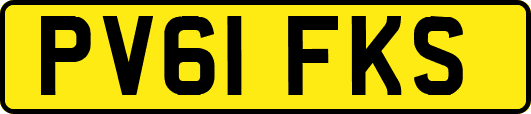 PV61FKS