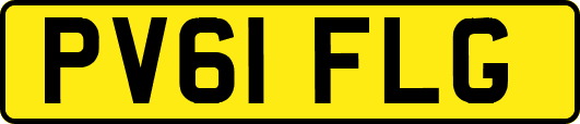 PV61FLG