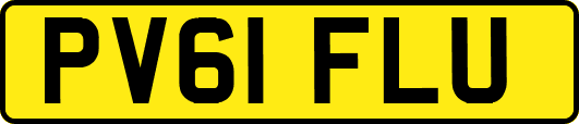 PV61FLU