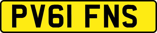 PV61FNS
