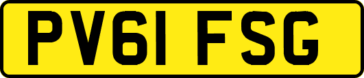PV61FSG