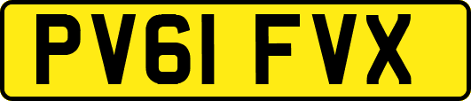 PV61FVX